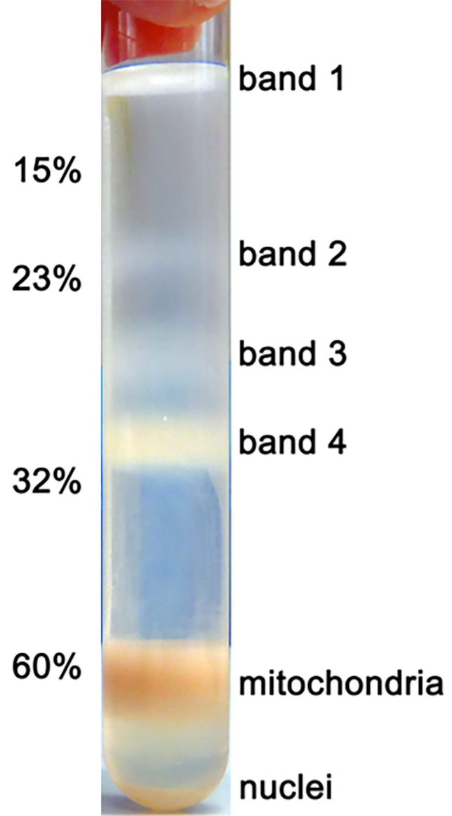 figure-results-4728