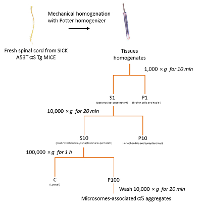 figure-results-4311