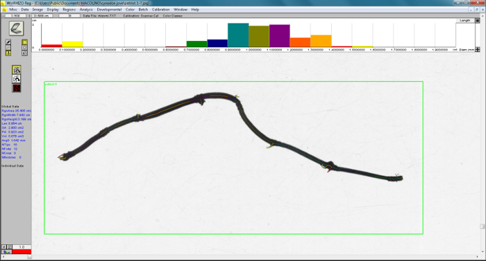 figure-results-12975