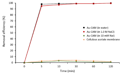 Efficient bioremediation of radioactive iodine using biogenic gold