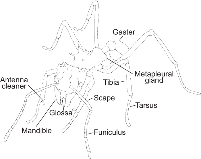 figure-introduction-6820