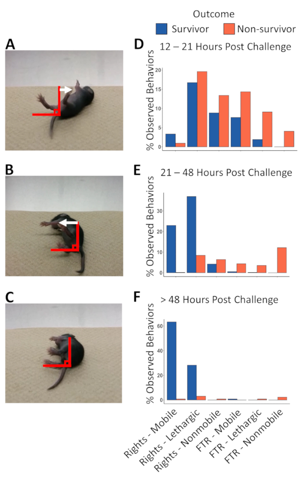 figure-representative results-9586