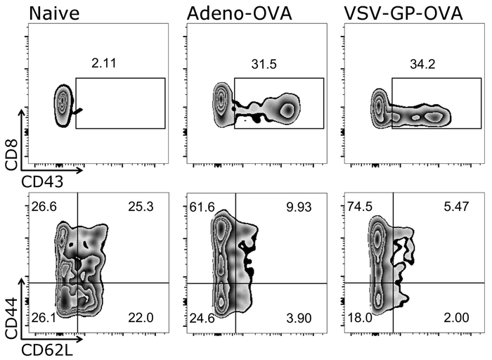 figure-results-5090