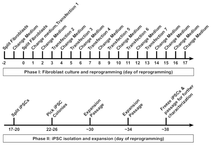 figure-representative results-5132