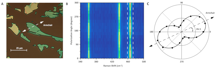 figure-representative results-6975