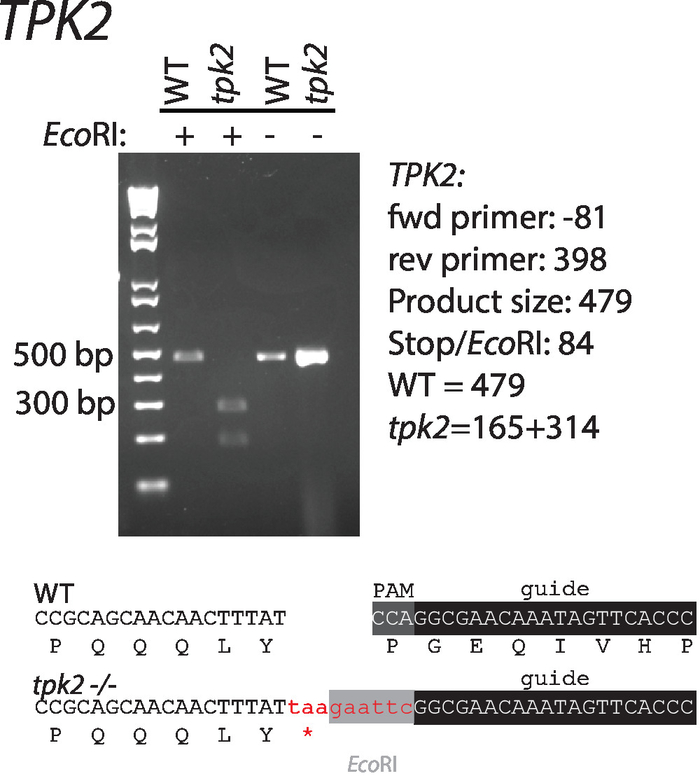 figure-representative results-4077