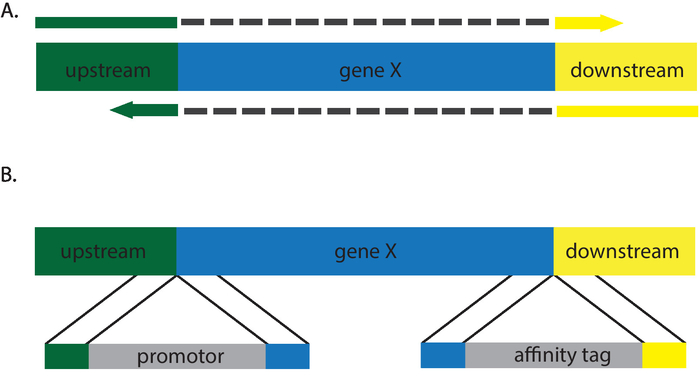 figure-representative results-4737