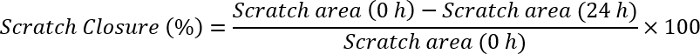 figure-protocol-10153