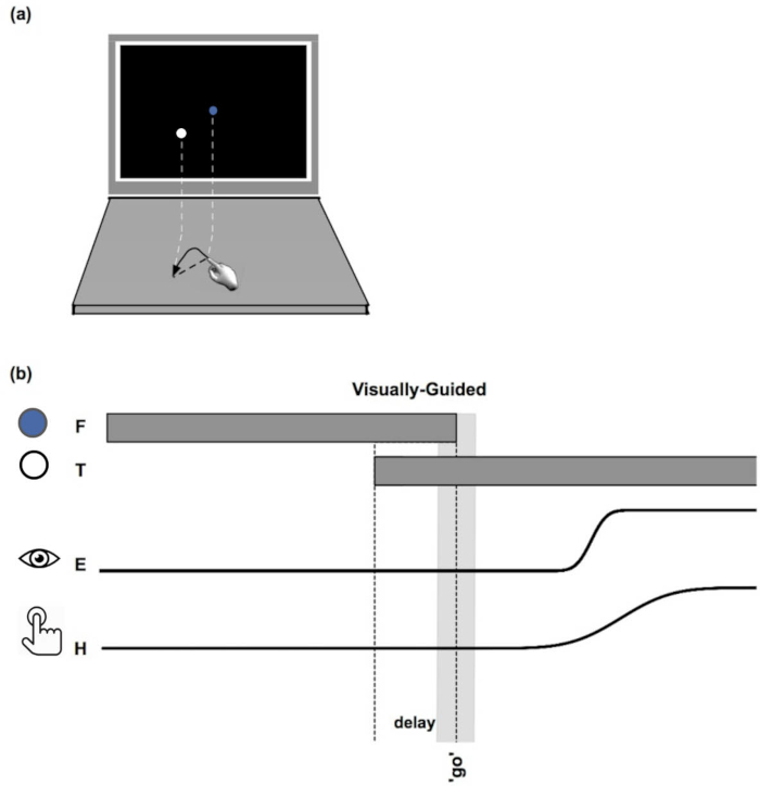 figure-protocol-4448