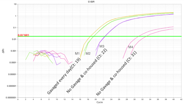 figure-representative results-5577