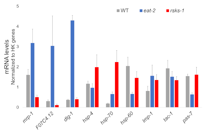 figure-representative results-9621