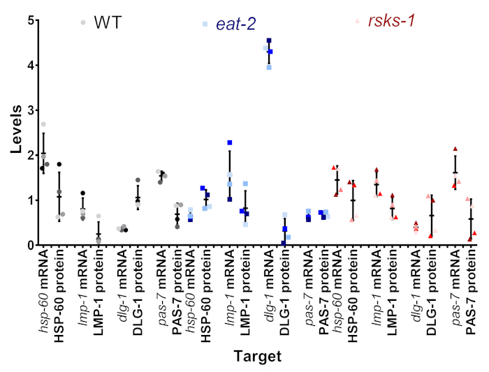 figure-representative results-12156