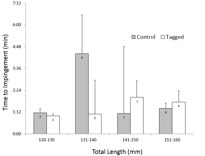 figure-representative results-4914