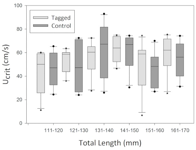 figure-representative results-5334