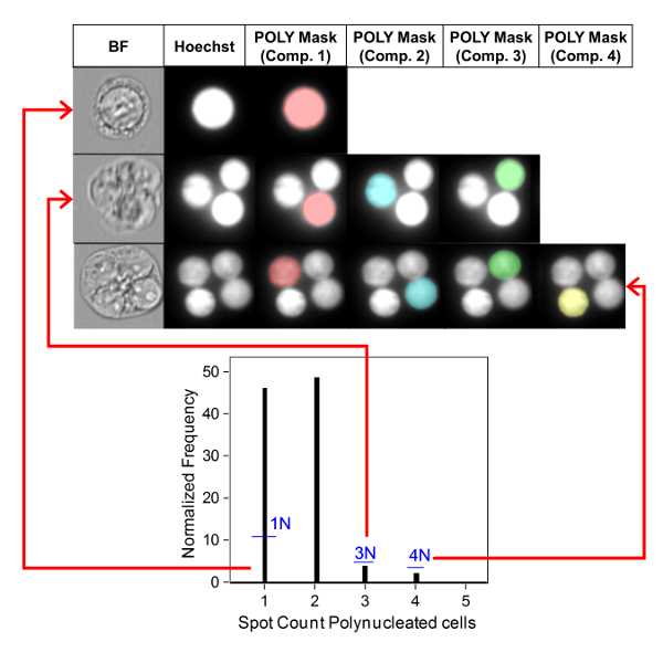 figure-representative results-7100