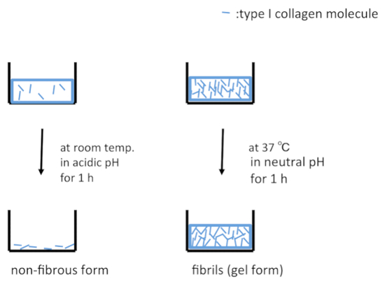 figure-representative results-1479