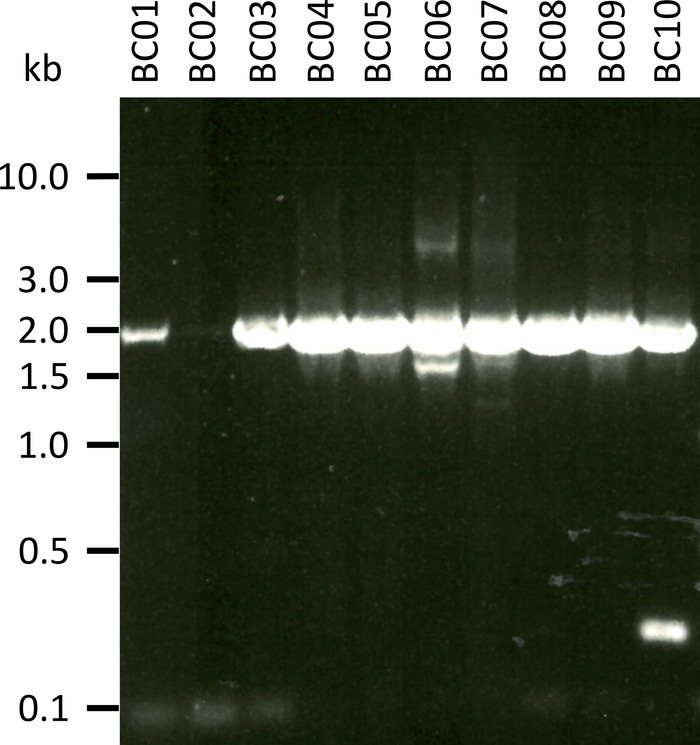 figure-representative results-5161