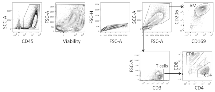 figure-representative results-5027