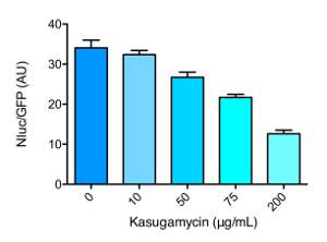 figure-results-6153