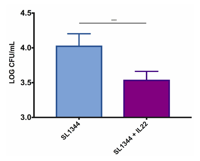 figure-representative results-3455