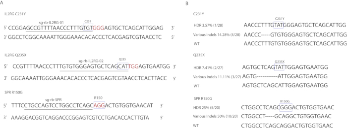 figure-representative results-3626