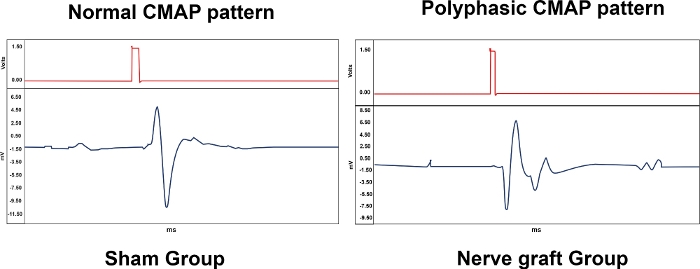 figure-representative results-11892