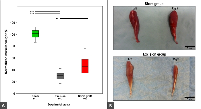 figure-representative results-13188