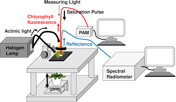 MONITORING-PAM Chlorophyll Fluorometer