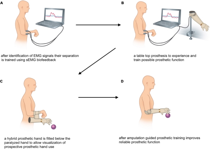 figure-protocol-10028