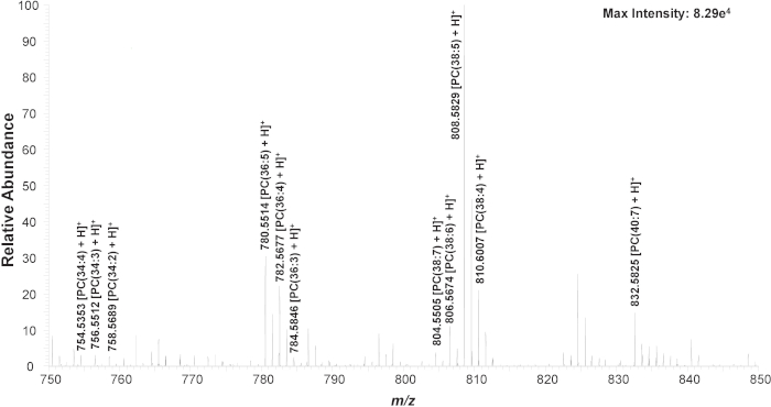 figure-representative results-3606