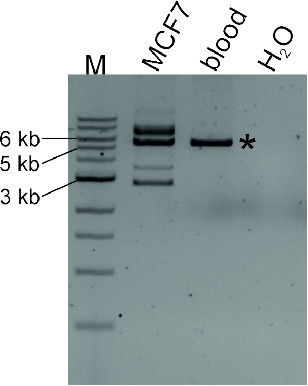 figure-representative results-5293