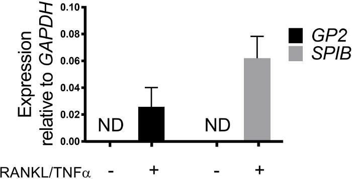 figure-representative results-9621