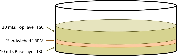 figure-representative results-2467