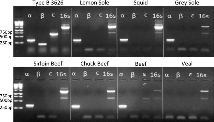 figure-representative results-2992