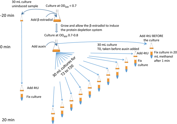 figure-representative results-5258