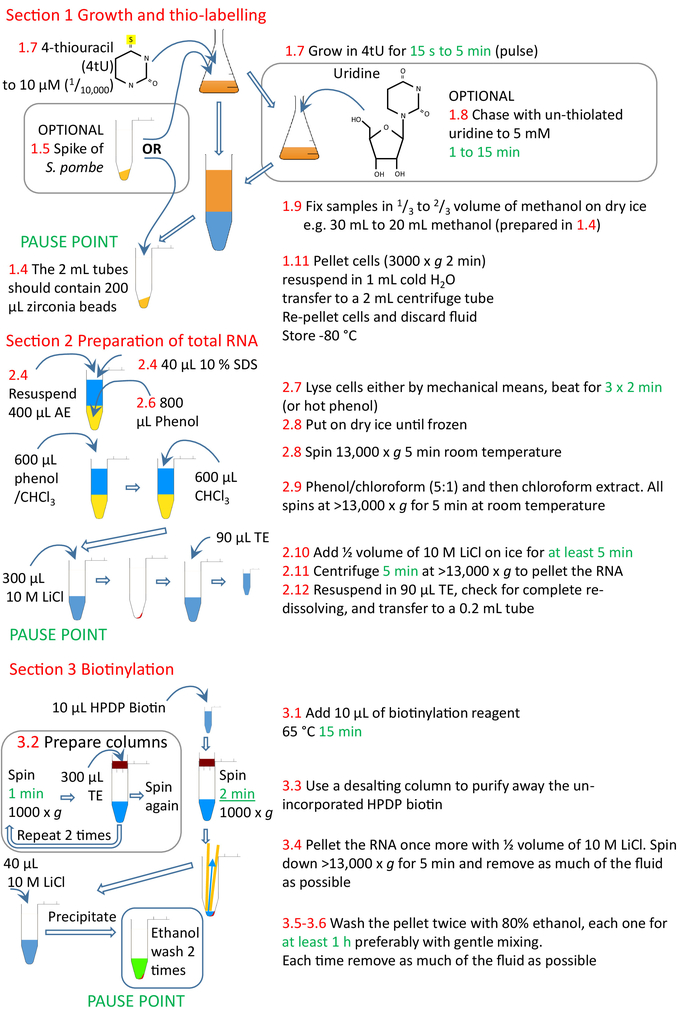 figure-representative results-10255