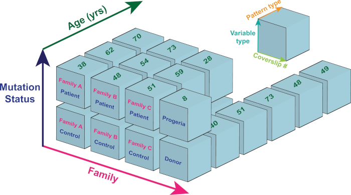 Is there a way to use a for loop with a database? - #13 by