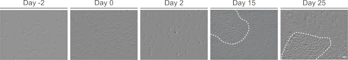 figure-results-8360