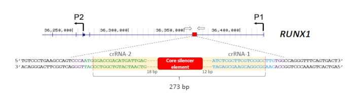 figure-representative results-4118