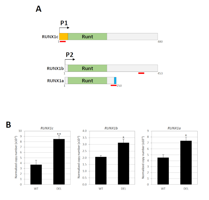 figure-representative results-5715