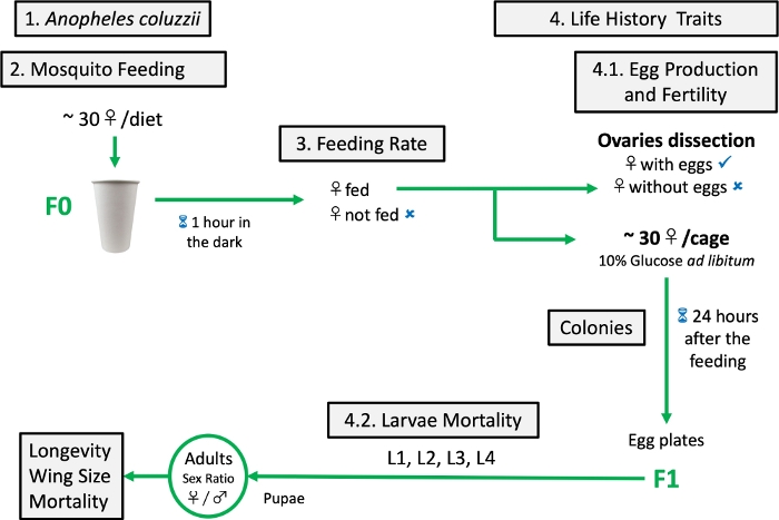 figure-representative results-6413