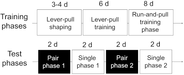 figure-protocol-7755