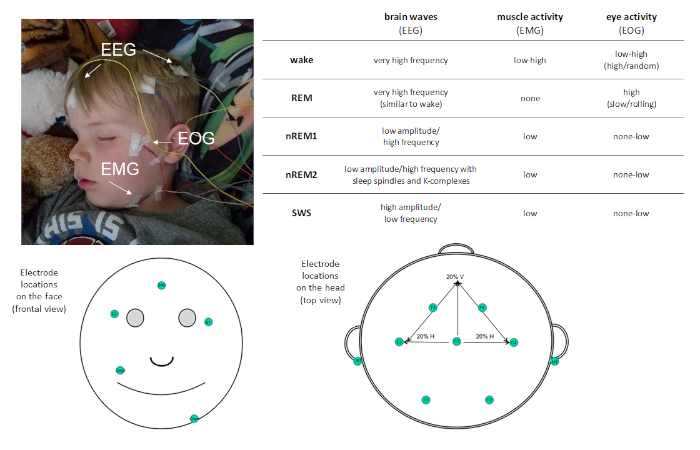 figure-introduction-1016