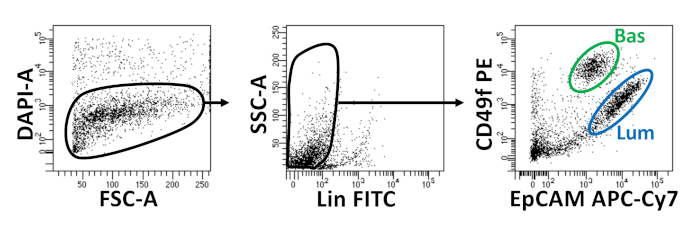 figure-representative results-5184