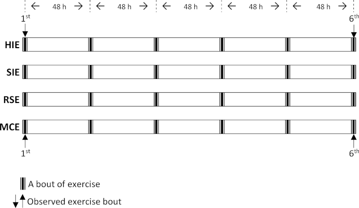 figure-protocol-2001