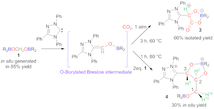 Versatile CO2 Transformations Into Complex Products: A One-pot Two-step ...