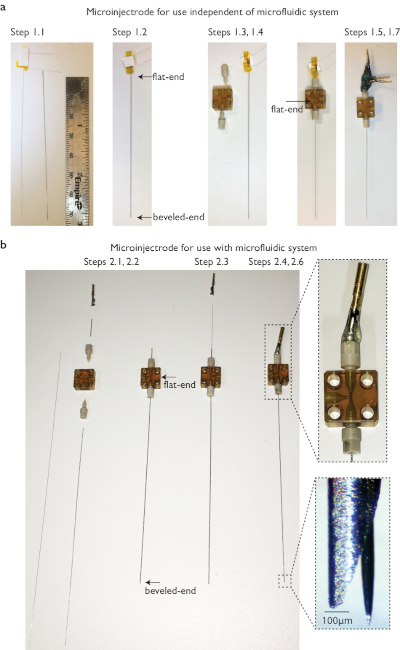 figure-representative results-1013