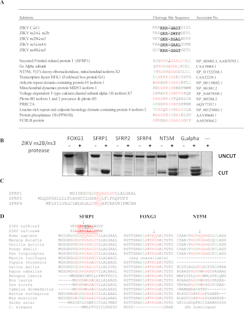 figure-representative results-10160