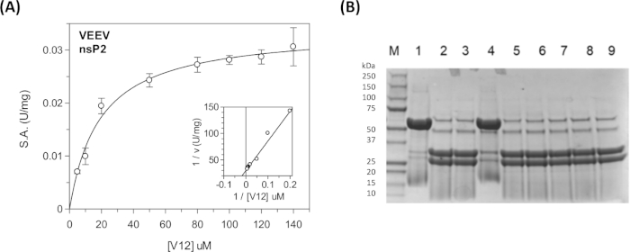 figure-representative results-11672