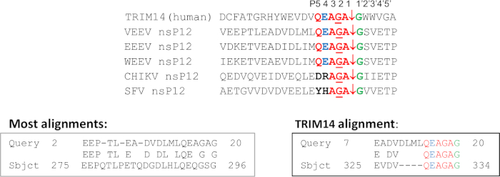 figure-representative results-6414